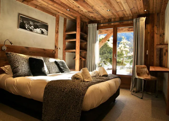 Dağ evi Grands Montets Chamonix