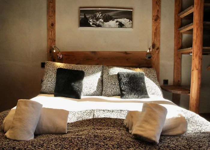 Grands Montets شامونكس